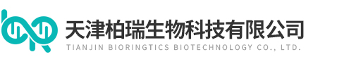 开云官方网页版官网